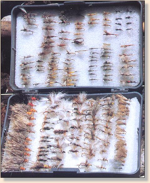 Stimulators for fast water