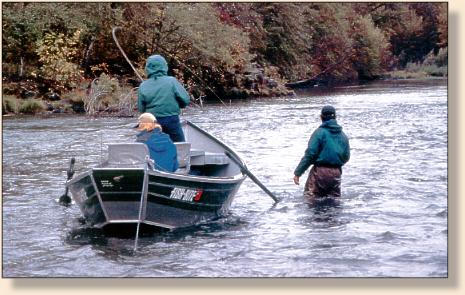 Late Fall Steelhead On