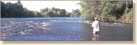 Summer on the Upper Rogue