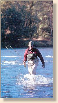 Always to pleasure to be on the Rogue