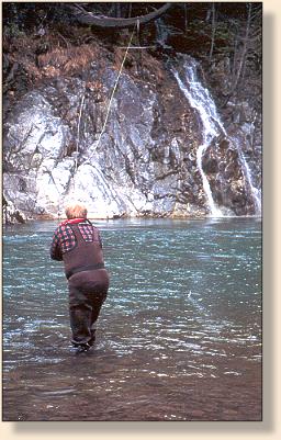 Winter angler on the Illinois River
