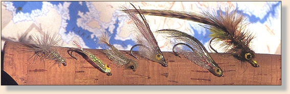 Andy Burk's Shasta Lake patterns