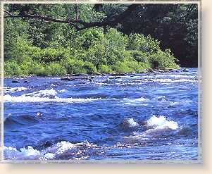 Big water on the Salmon