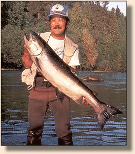 Chinook from the Sandy