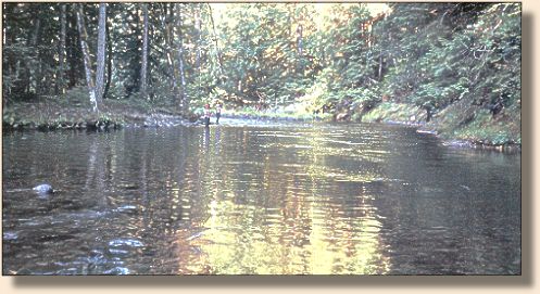 Wild 
and Scenic Salmon River