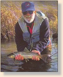 Large Silver Creek Trout