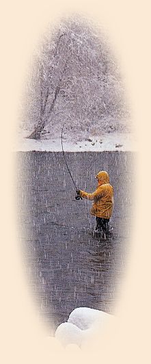 February snowstorm, Sauk River