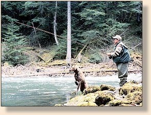 Exploring some of the Skeena Creeks