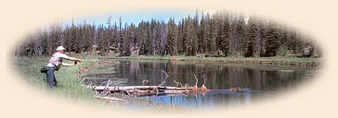 Author Bruce Staples casting to visible trout