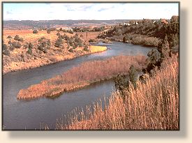  Henry's Fork Downstream from Ashton Dam