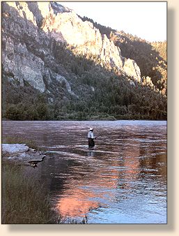 Caddis on the South Fork