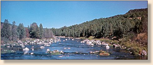Black Canyon of Bear River above Grace Power Plant