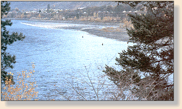 Anglers fishing the Y Pool