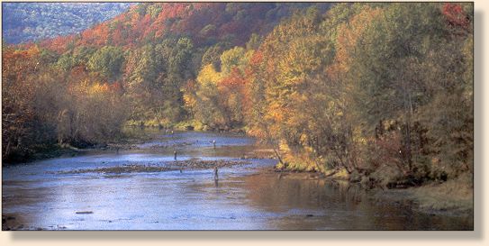 Winkley Shoals from Swinging Bridge