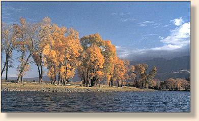 River south of Livingston