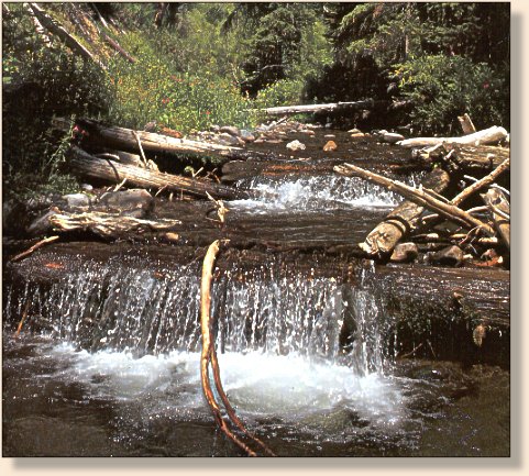 Headwaters above the Lake