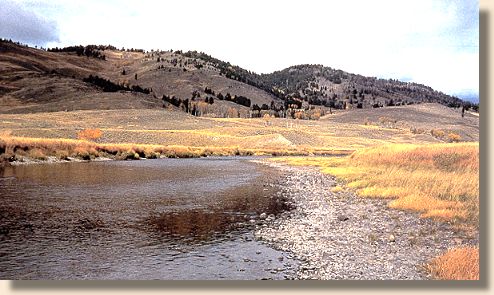 Slough Creek in meadows below the campground
