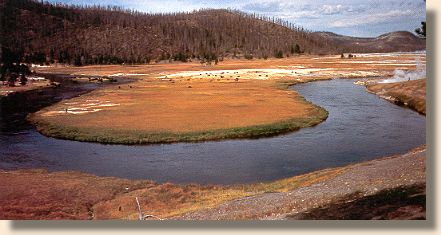 Famous Muleshoe Bend, Firehole River