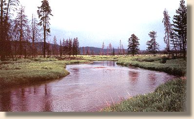 Duck Creek in early June