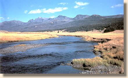 Second meadow, Slough Creek