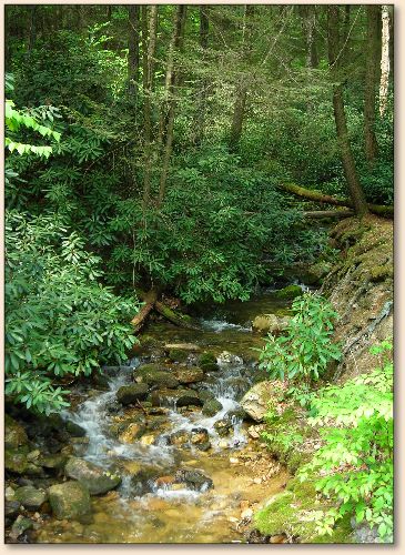 Sweet Stream