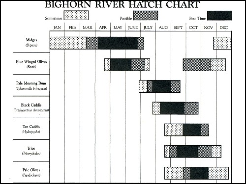 Hatch Chart