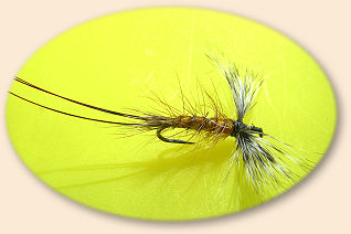 Hex Fly