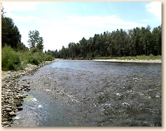 Bitterroot River