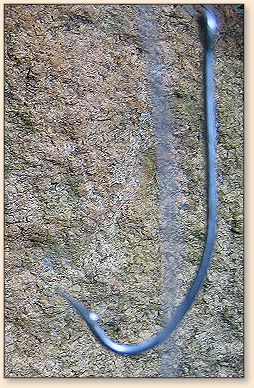 straightened hook