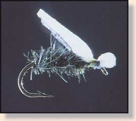 LaFontaine Foam Beetle