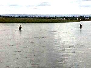 Island Park on Henry's Fork
