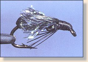 Steeves Sinking Beetle