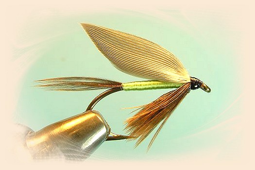 Green Apple Fly