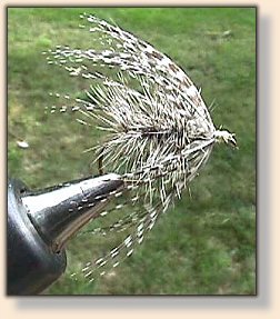 Bent-Hackle Fly
