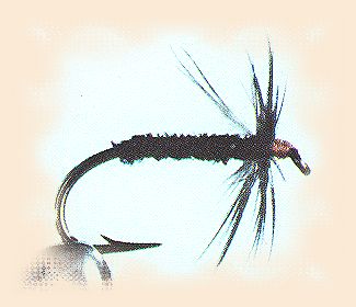 Leisenring Black Gnat