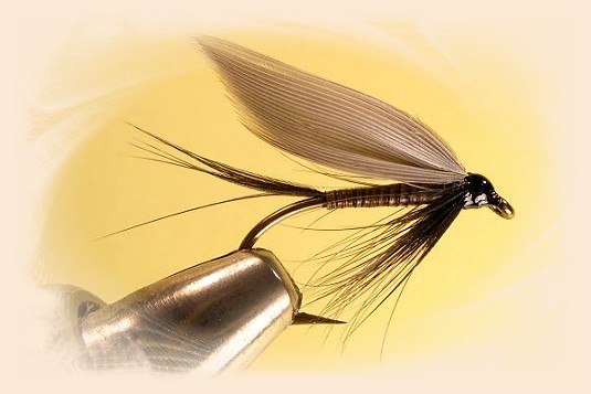 Black Quill