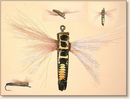 Bunyan Bug
