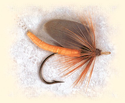 Caddis, cork body