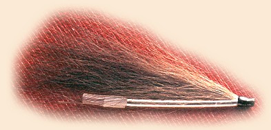 Collie Dog Tube Fly