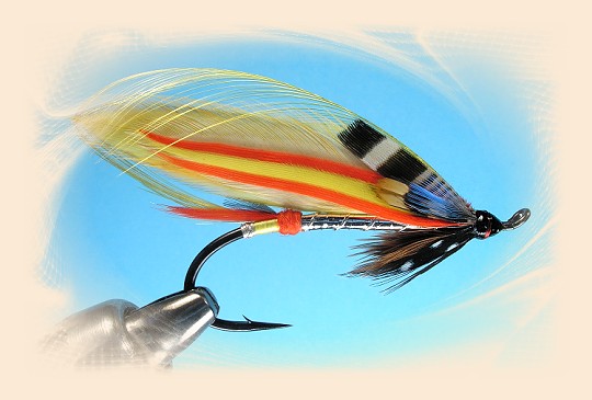 The Colonel Bates II