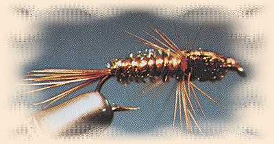 Copper Bug