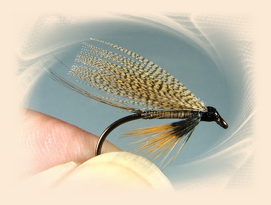 Greig Quill