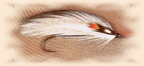 Jane Craig Streamer