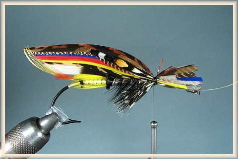 Defeo hackle