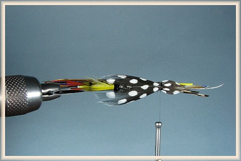 Defeo hackle tied in