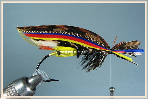 Overwing
