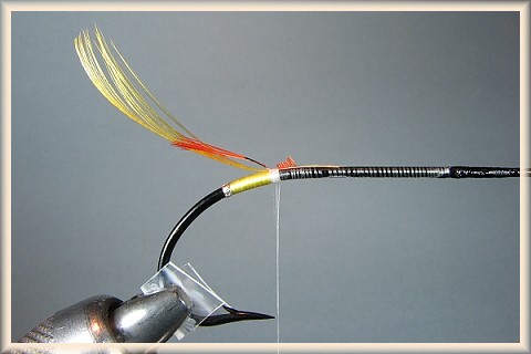 Tail veiling tied in