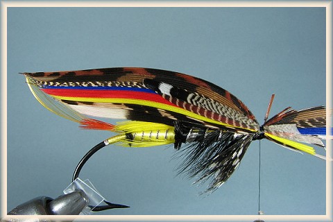Wood duck/teal tied in