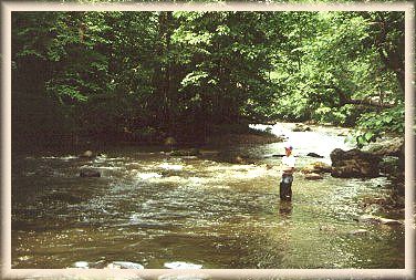South Branch Raritan River