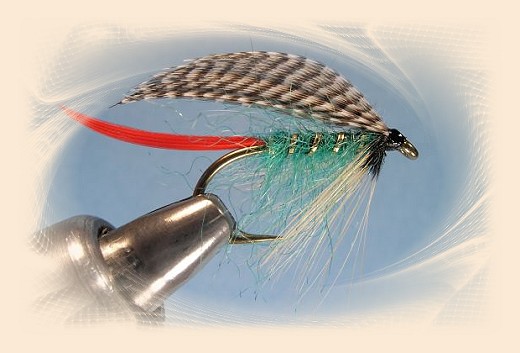 Nationa's Green Sedge